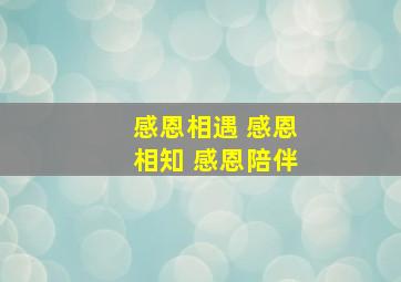 感恩相遇 感恩相知 感恩陪伴